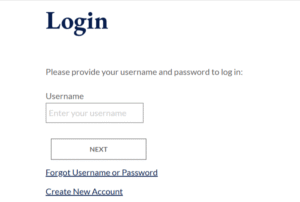 RapidIdentity CCPS Login