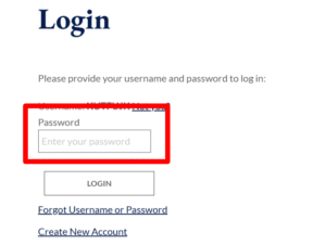 RapidIdentity CCPS Login