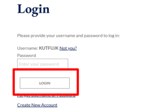 RapidIdentity CCPS Login